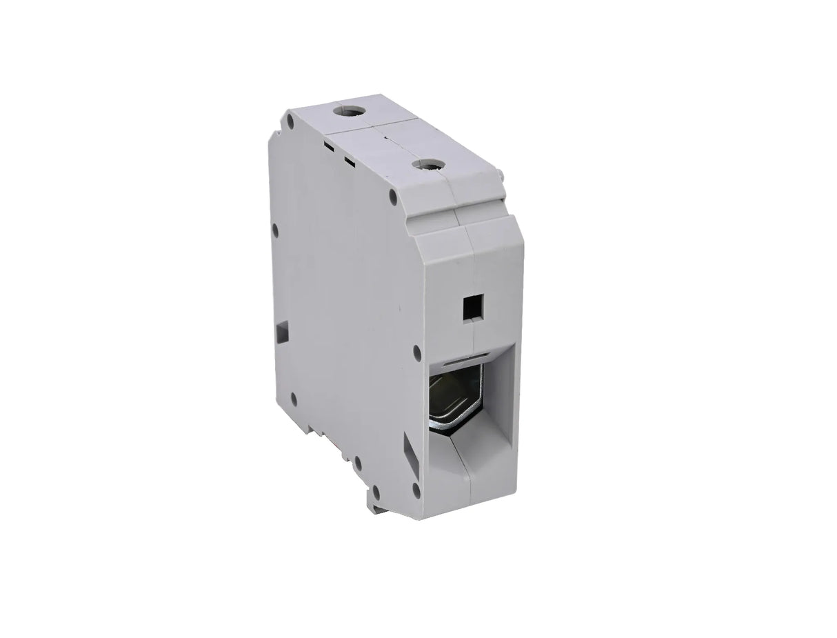 TBS95 det-1