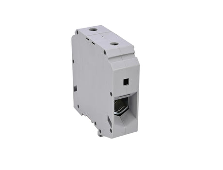 TBS95 det-1