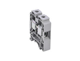 TBS25 det-1